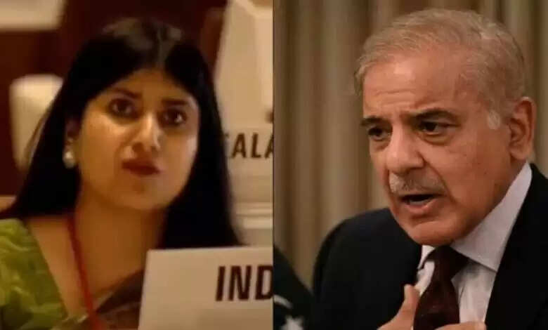अंतरराष्ट्रीय मंचों के जरिए भारत सरकार लगातार पाकिस्तान को पोल खोलने में जुटी, ‘आतंकवाद का जन्मदाता है पाकिस्तान’