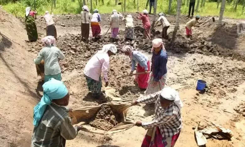 जिलों में हो रहे कार्यों को देखने जाएंगे अधिकारी, मनरेगा आयुक्त को देंगे अनुश्रवण रिपोर्ट, ये अधिकारी करेंगे इन जिलों का भ्रमण