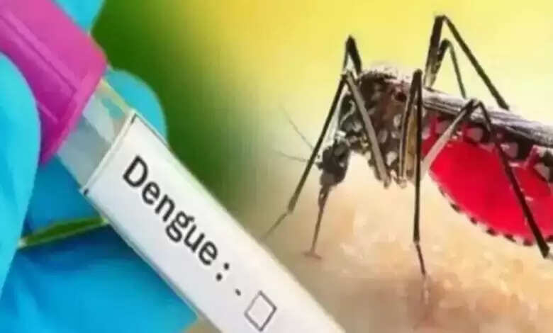 राष्ट्रीय डेंगू दिवस पर प्रदेशवासी लें जल जमाव रोकने का संकल्प : मुख्यमंत्री डॉ. यादव