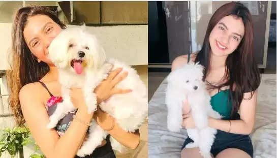 Holi 2023- Actress Kashika Kapoor shows her concern for stray animals on Holi says, "This Holi we must behave like humans and protect the strays"